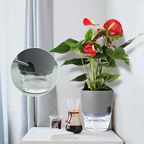 Jardinières auto-arrosantes Easy-Grow