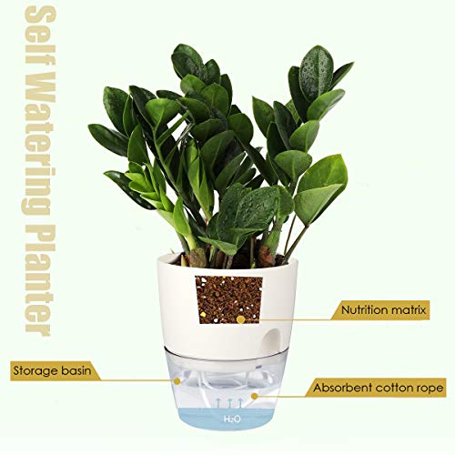 Jardinières auto-arrosantes Easy-Grow