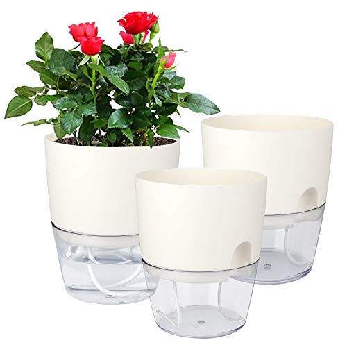 Jardinières auto-arrosantes Easy-Grow
